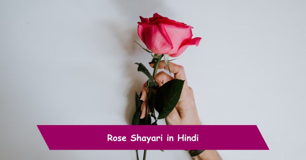 Rose Shayari