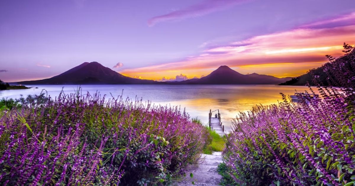 Nature Par Shayari
