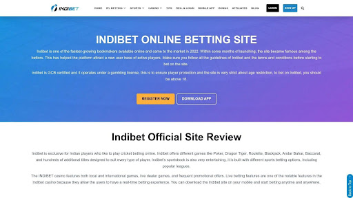 Level Up Your Game: 12 Best Betting App for Cricket Options in India for 2026